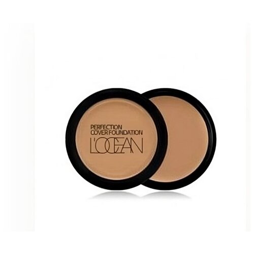 L'ocean Консилер / Perfection Cover Foundation №43 Mud brown, 16 грамм