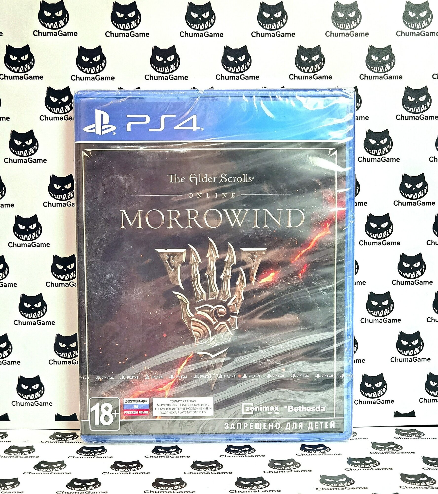 Игра MORROWIND - The Elder Scrolls PS4 Новый диск Английская версия