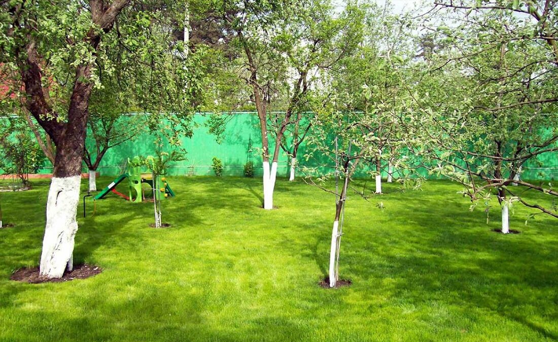 Ножницы садовые, кустарниковые, с оксидно-фосфатным покрытием, зубчатый усилитель, 550 мм. Предназначенны для обрезки кустарников, живой изгороди в вашем саду. - фотография № 5