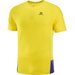 Футболка Salomon, размер L, фиолетовый, желтый
