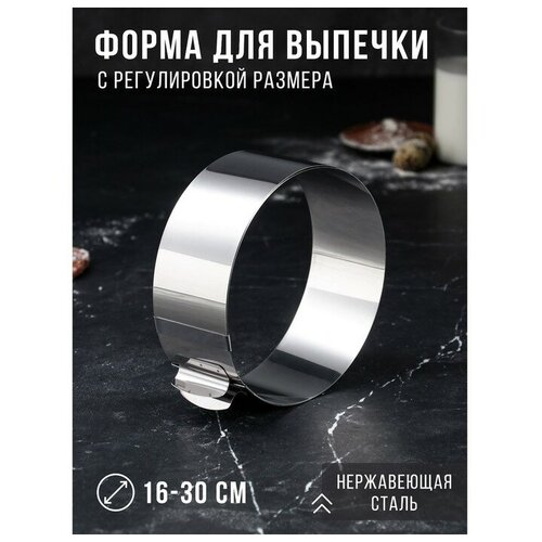 Форма для выпечки и выкладки с регулировкой размера Круг h-65 см d-16-30 см 789₽