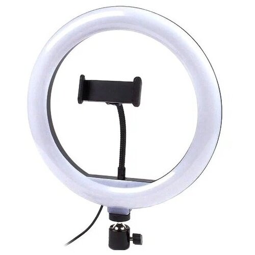 Кольцевая лампа напольная QX-260 26 см для фото и видеосъемки вариант 1 без треноги 58600₽