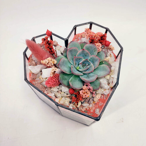 Изображение товара Флорариум с суккулентами "Сердце" 11х11см