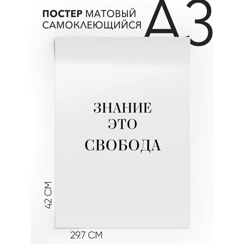 Интерьерный постер с надписью на стену, плакат - мотивационная Знание это свобода, Самоклеящийся, 30х40, А3