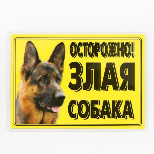 Табличка ламинированая Осторожно! Злая собака Овчарка наклейка duck and dog 10х10 43 осторожно злая собака