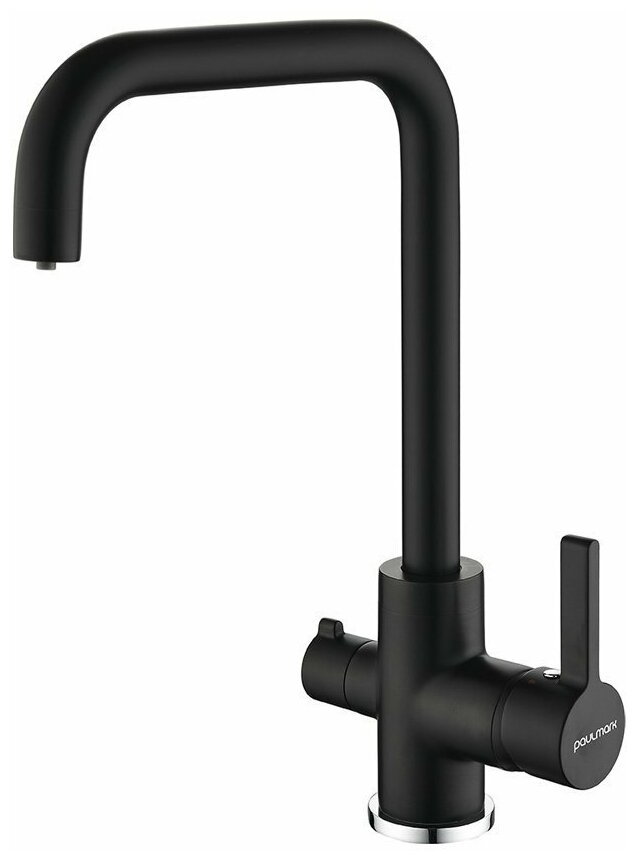 Смеситель для кухни с краном для питьевой воды PAULMARK Logas Lo213021-401TB