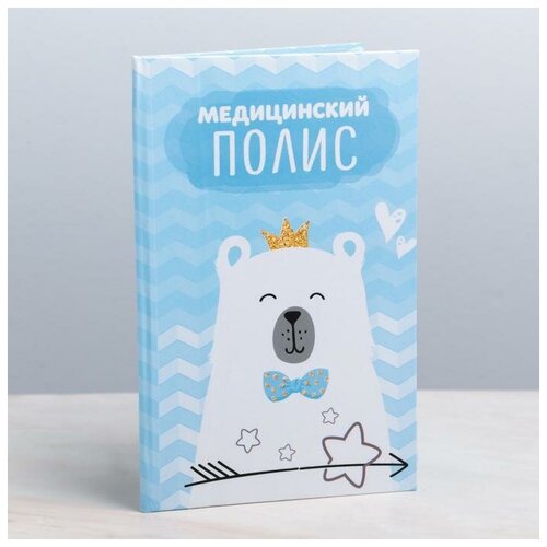 Папка для медицинского полиса Мишка для мальчика 175 х 113 см 413₽