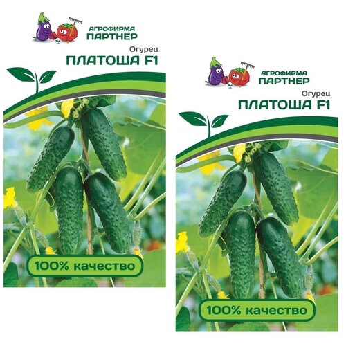 Семена Огурец платоша F1 /Агрофирма Партнер/ 2 упаковки по 5 семян
