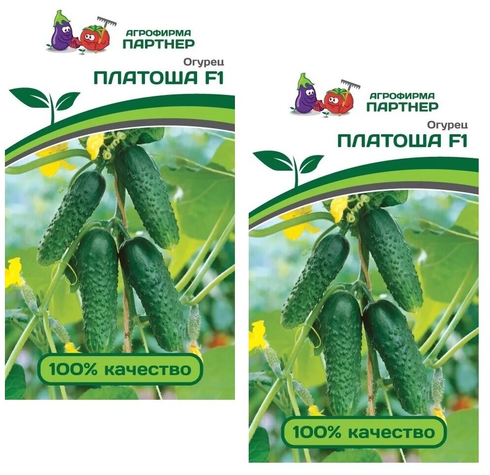 Семена Огурец платоша F1 /Агрофирма Партнер/ 2 упаковки по 5 семян