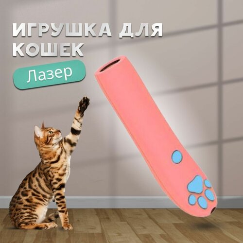 игрушка дразнилка для кошек и лазерная указка Игрушка для кошек лазерная. Лазер для кошек. Игрушка для питомцев.