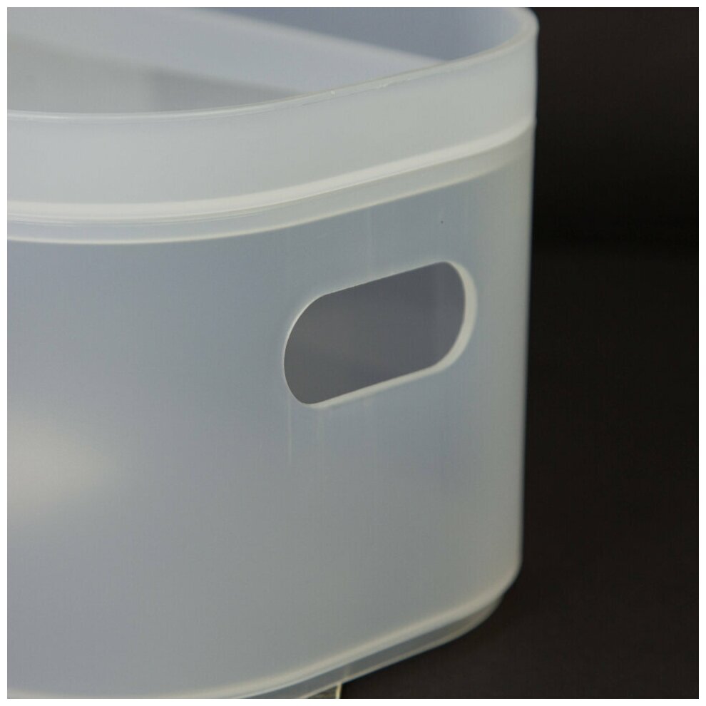 Органайзер - коробка для хранения "Классик", бесцветная 13,1 х 25,5 х 11 см - фотография № 2