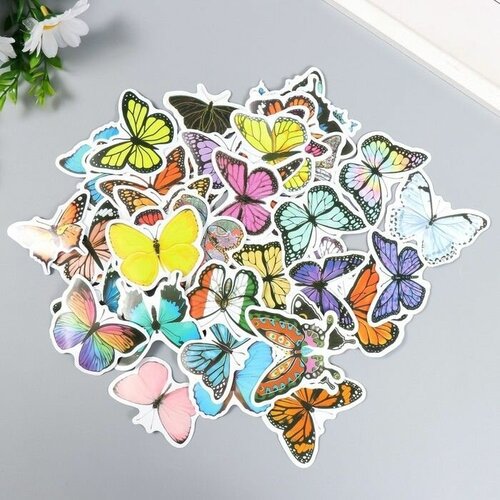 Набор наклеек Нашествие бабочек 50 шт 3-85 см 544₽