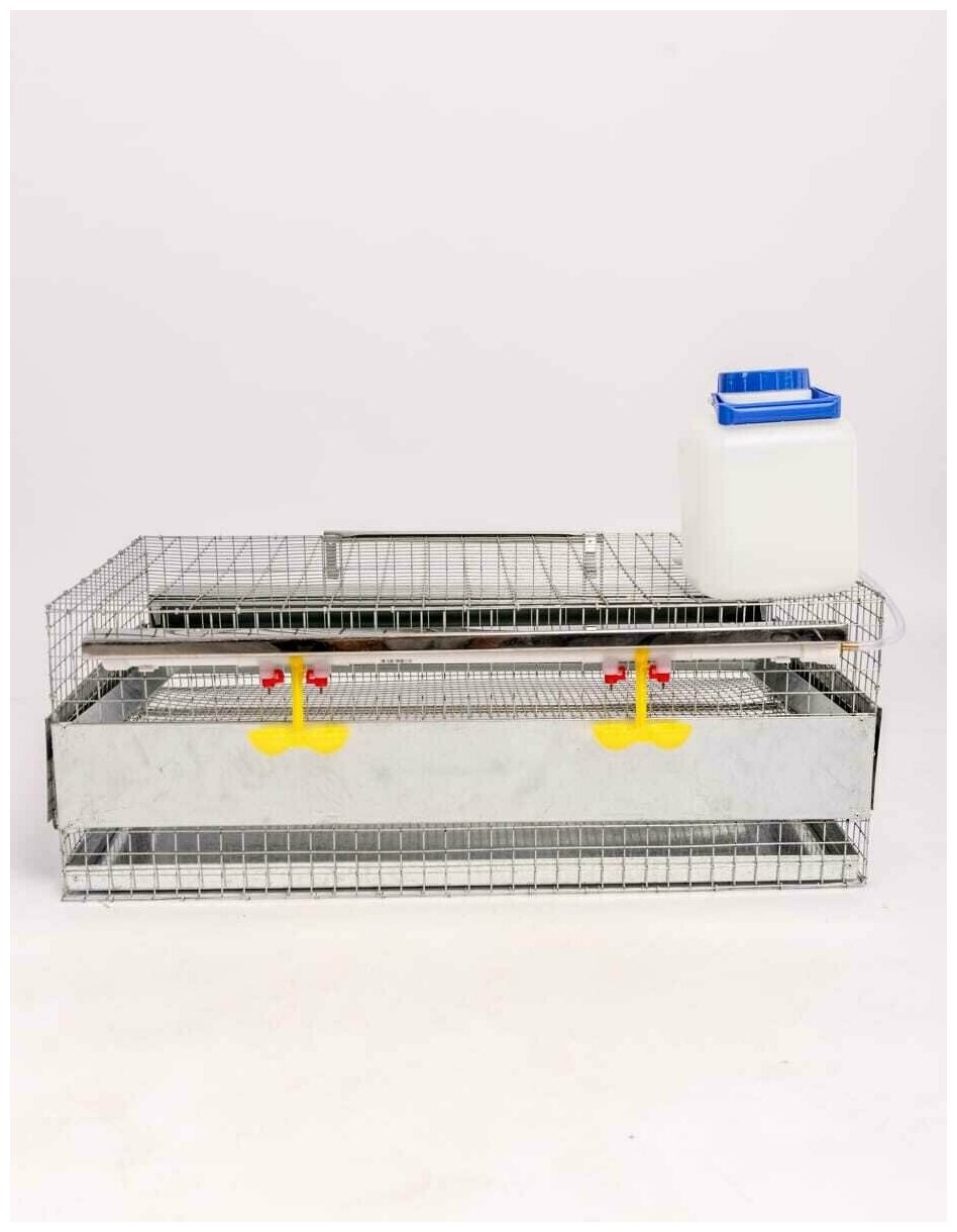 Клетка FERMAMARKET для перепелов серии комфорт на 50 голов/с яицосборником/с бочком/ - фотография № 3