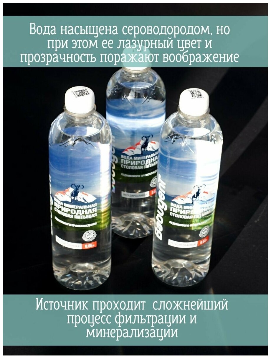 Вода природная минеральная питьевая BabugenT , негазированная. Пластик, 12 шт. по 0,65 л - фотография № 4