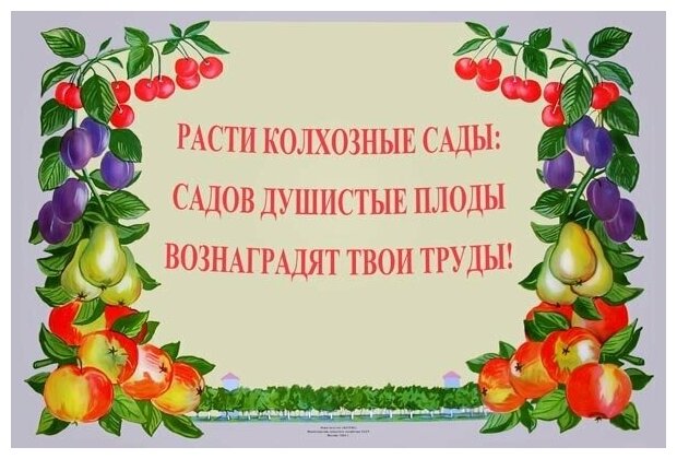 Плакат постер на бумаге Расти колхозные сады: садов душистые плоды вознаградят твои труды. Размер 21 х 30 см