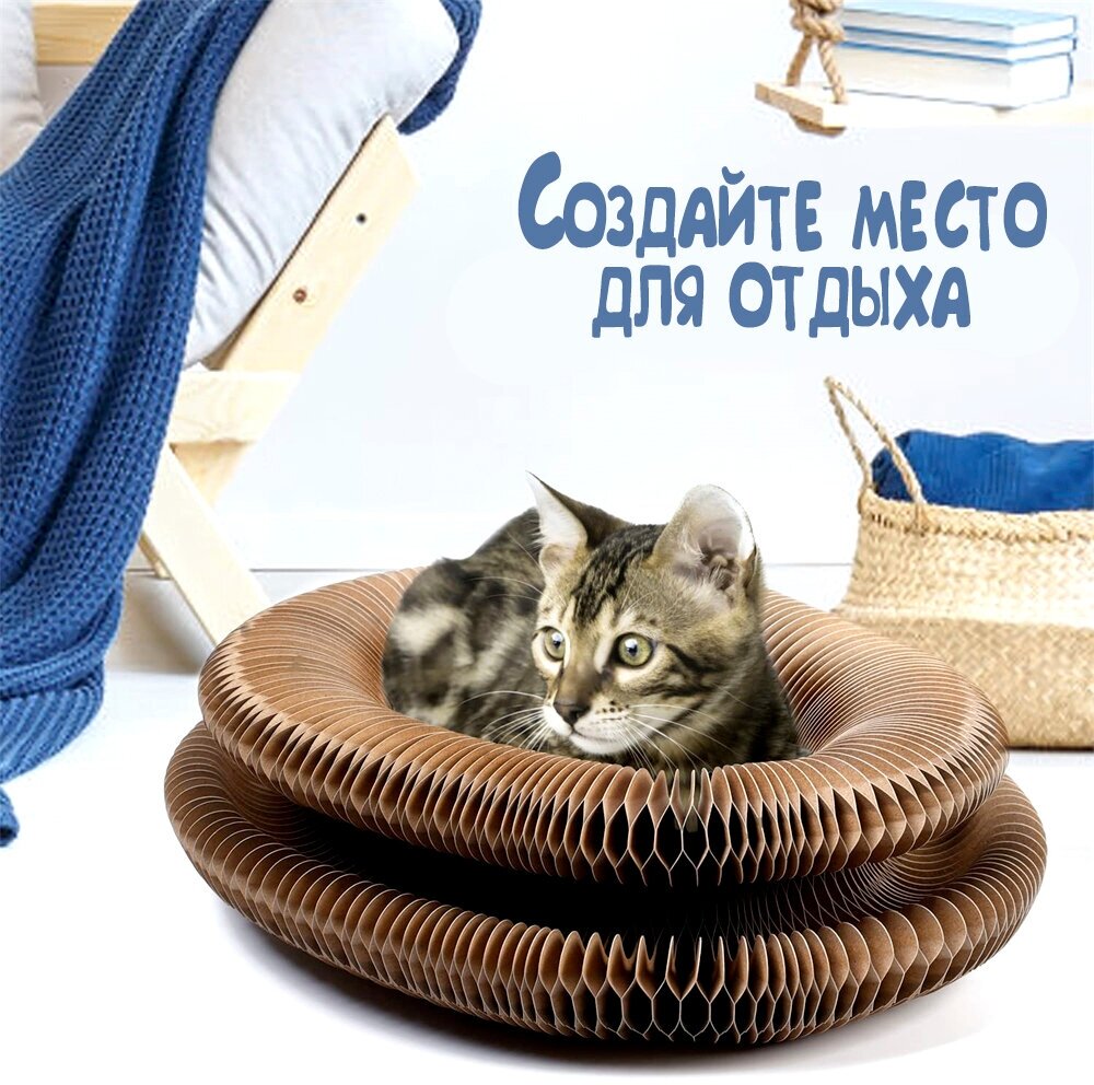 Складная магнитная игрушка-когтеточка для кошек с шариком и мятой для котов. Подарочный набор "Рыбка" - фотография № 3