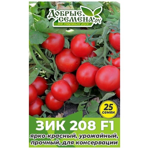 Семена томата ЗИК 208 F1 - 25 шт - Добрые Семена. ру