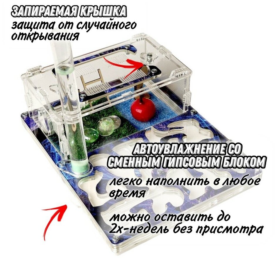 Средняя муравьиная ферма Люкс 20х16 Вихрь - фотография № 4