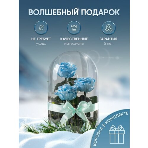 Вечная живая Роза в колбе Стабилизированная