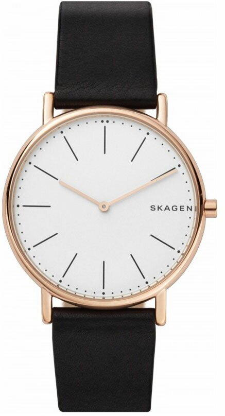 Наручные часы SKAGEN