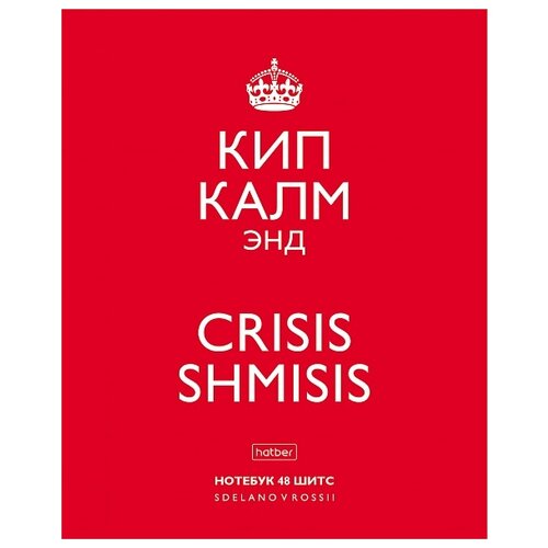 Hatber Тетрадь Кип калм 48Т5В1, клетка, 48 л., 48 шт., Рисунок тетрадь 12л кос лин приключения кота пирожка скоба скругл углы ассорти