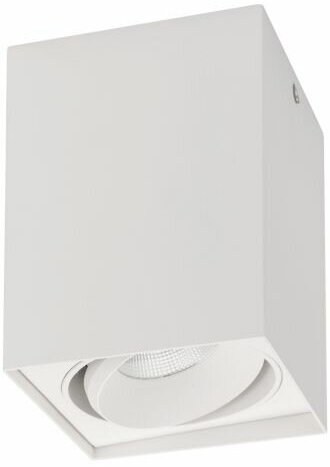 023078(1) Светильник SP-CUBUS-S100x100WH-11W Day White 40deg (Arlight, IP20 Металл, 3 года)