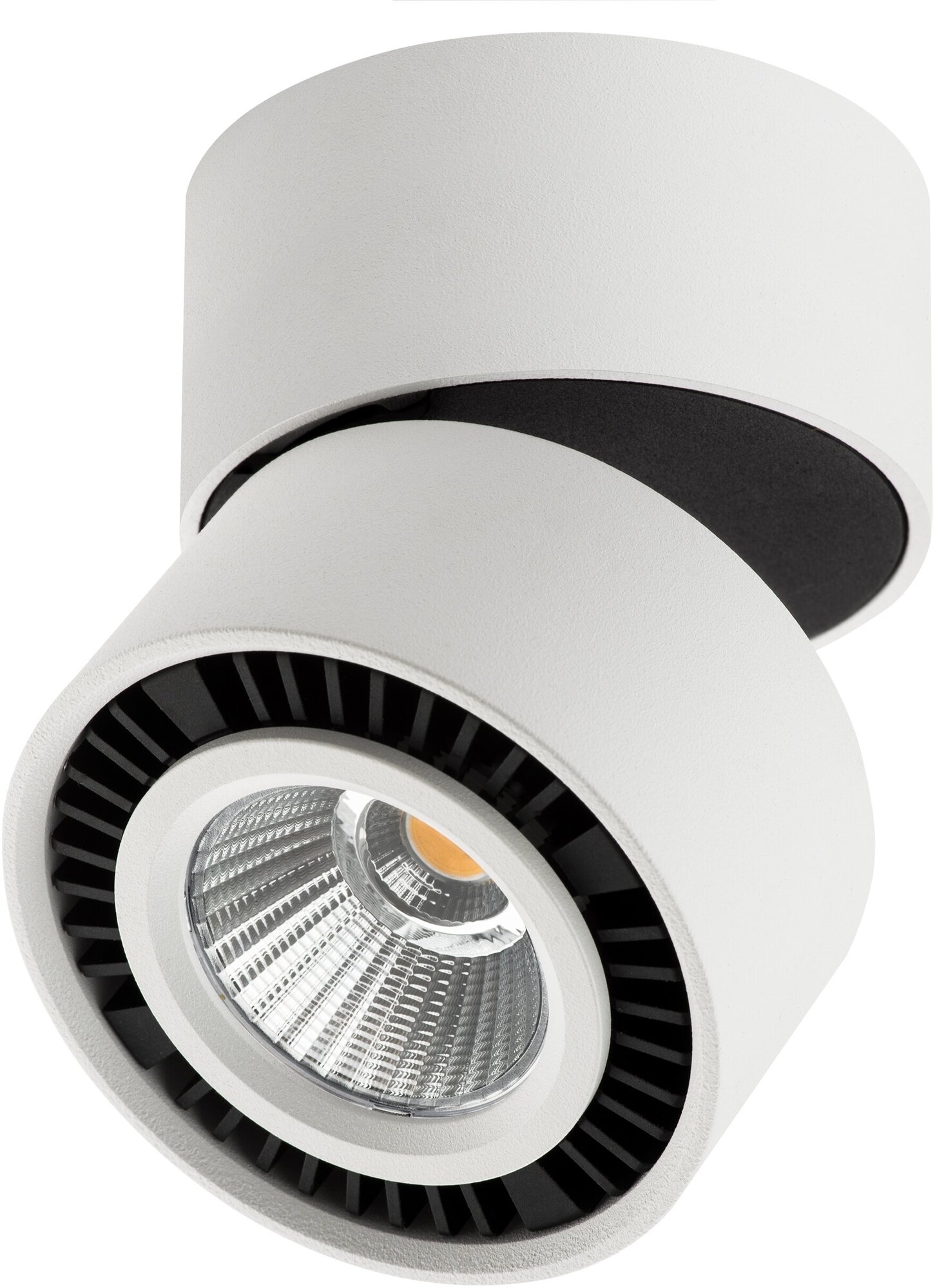 Точечный светильник накладной светодиодный белый Lightstar Forte Muro 213816