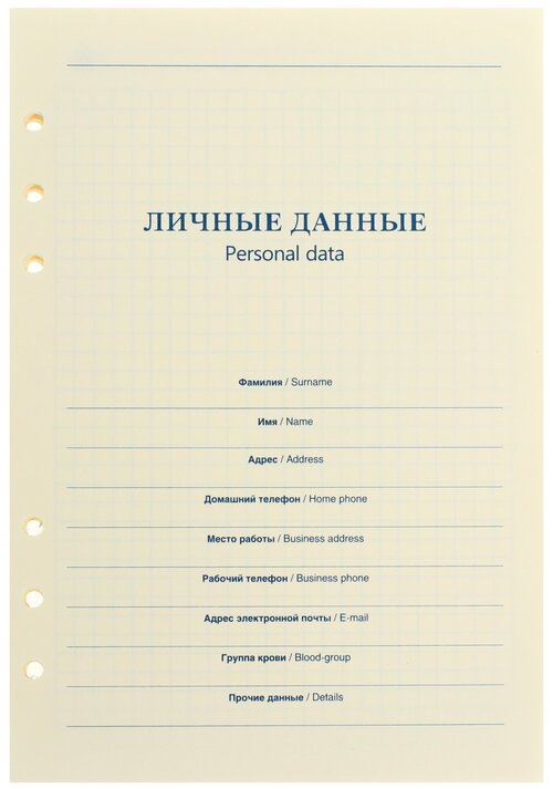 Сима-ленд Сменный блок для органайзера 4166592, клетка, 80 л., 13 шт., кремовый