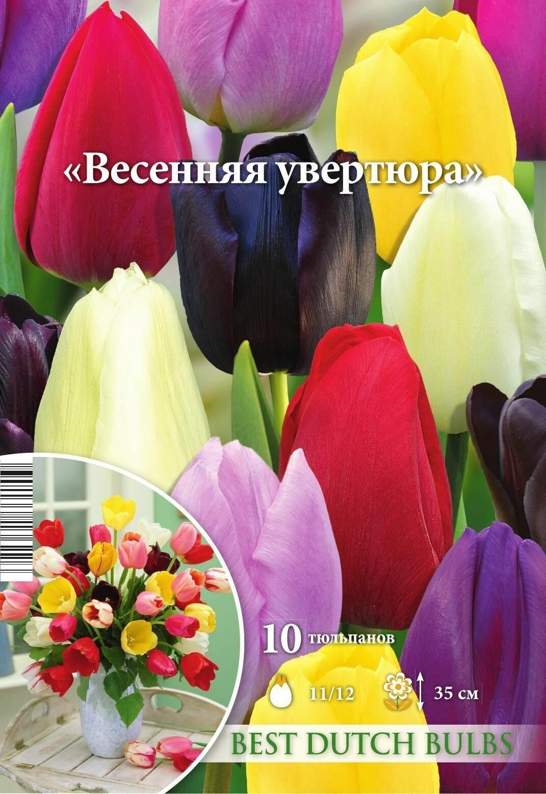 Тюльпан смесь "Весенняя увертюра" 10шт 11/12 - фотография № 2