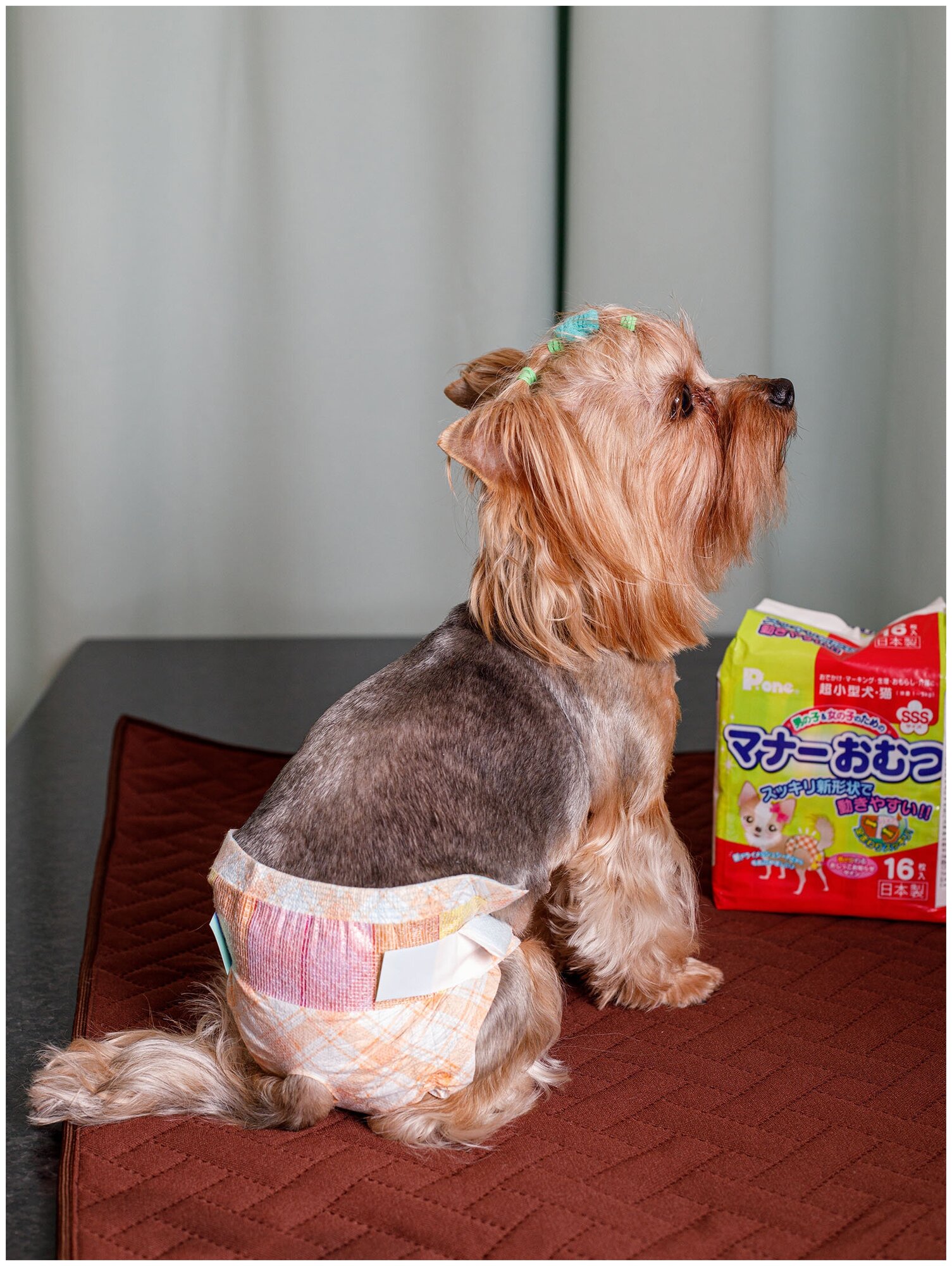 Подгузники многоразовые Japan Premium Pet для приучения к туалету размер 3S до 3кг 16шт Daiichi Eizai - фото №3