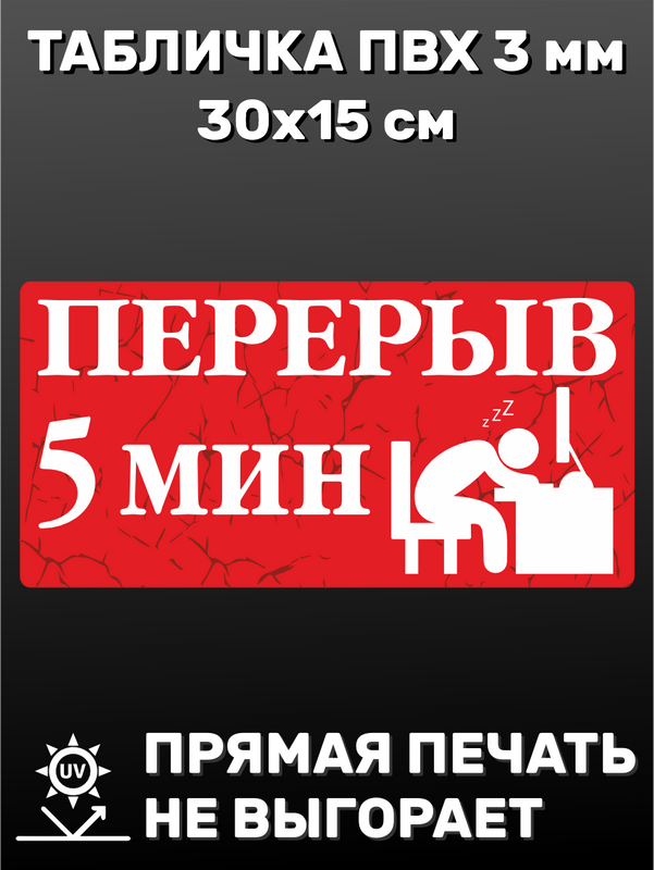 Табличка информационная Перерыв 5 минут 30х15 см