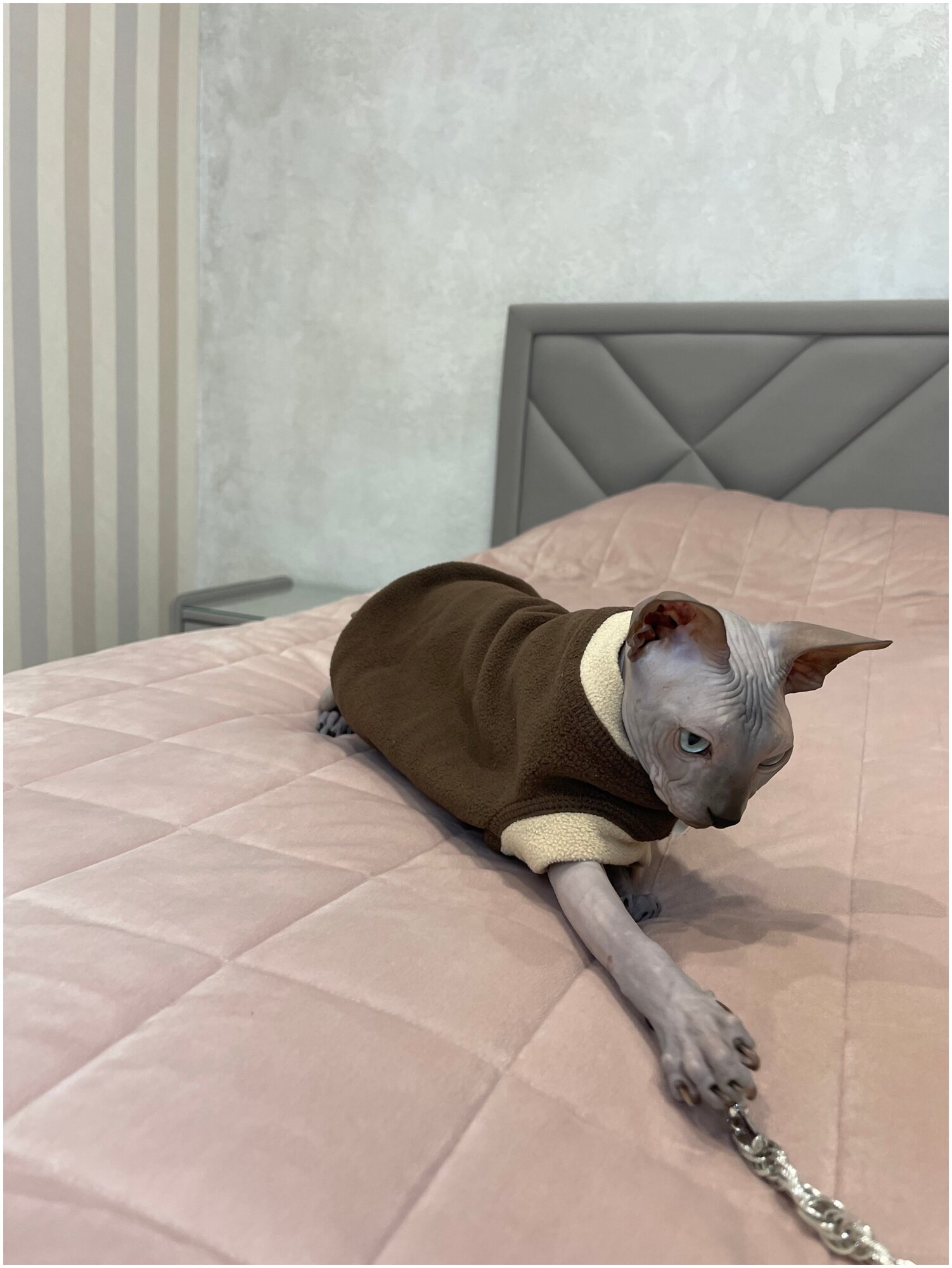 Флисовый жилет для кошек, коричнево-бежевый, М - фотография № 4
