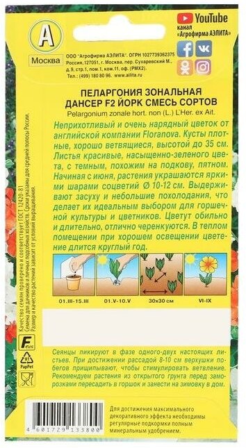 Семена цветов Агрофирма Аэлита Пеларгония "Дансер Йорк" смесь окрасок, F2, 5 шт