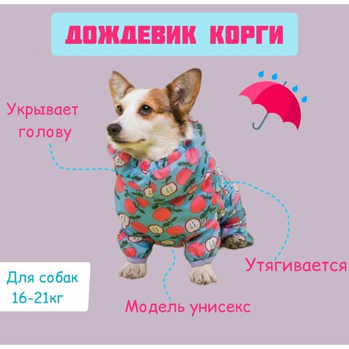Комбинезон куртка для корги "Apples", влагозащитная одежда для собак средних пород, 3XL