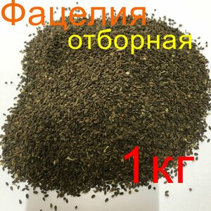 Основная фотография от вендора
