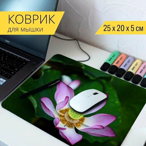 Коврик для мыши с принтом Lotus, цветок, листьев лотоса 25x20см.