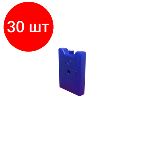 фото Комплект 30 штук, аккумулятор холода атх- 0.50 размеры (д х ш х в):165x115x30 мм noname