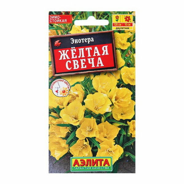 фото Семена Энотера Желтая свеча Дв Ц/П 0.2г, 3 шт.