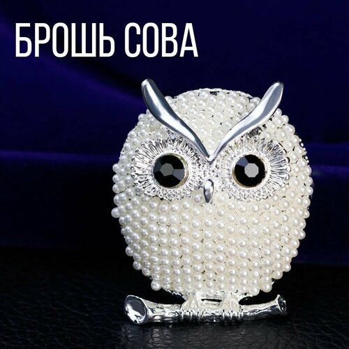 Брошь, бисер, стразы, 1 шт., белый, серебряный