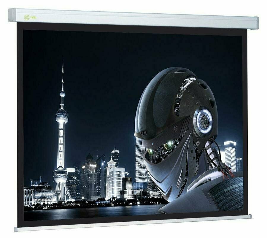 Рулонный cactus Wallscreen CS-PSW-128X170-SG