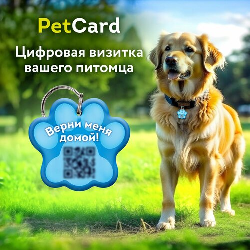 Адресник PetCard для собак и кошек с QR кодом и NFC, голубой.