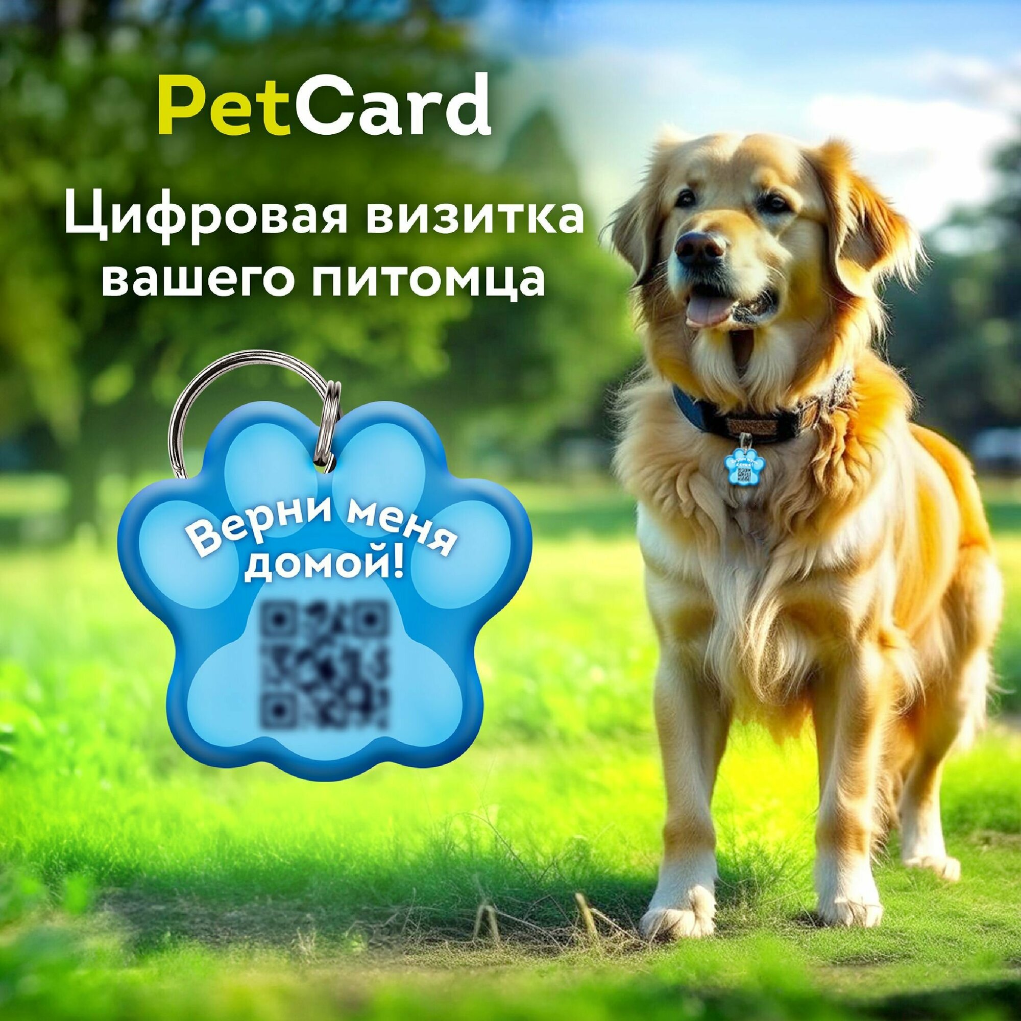 Цифровая визитка / адресник PetCard для собак и кошек с QR кодом и NFC розовая.