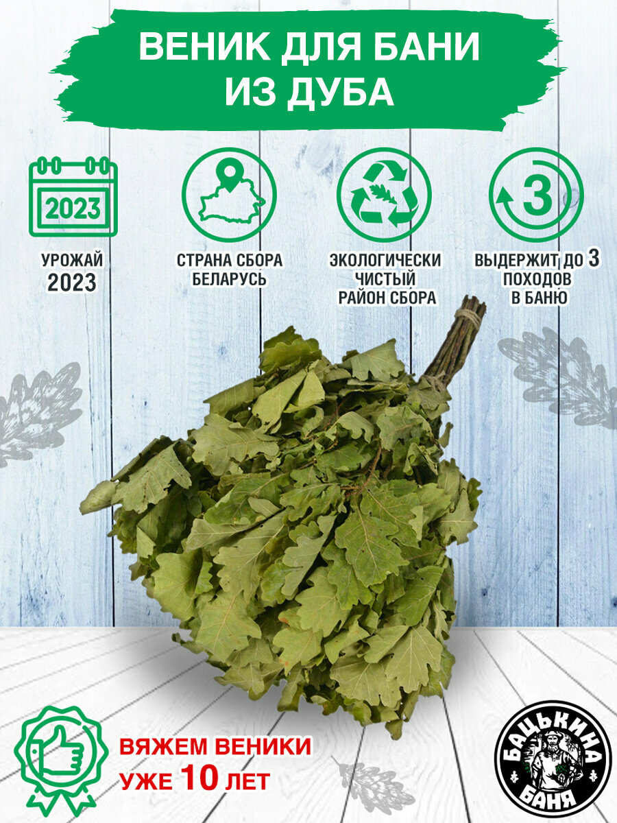 фото Веник для бани дубовый. Товары для бани и сауны, аксессуары, принадлежности и банные штучки. Банный веник