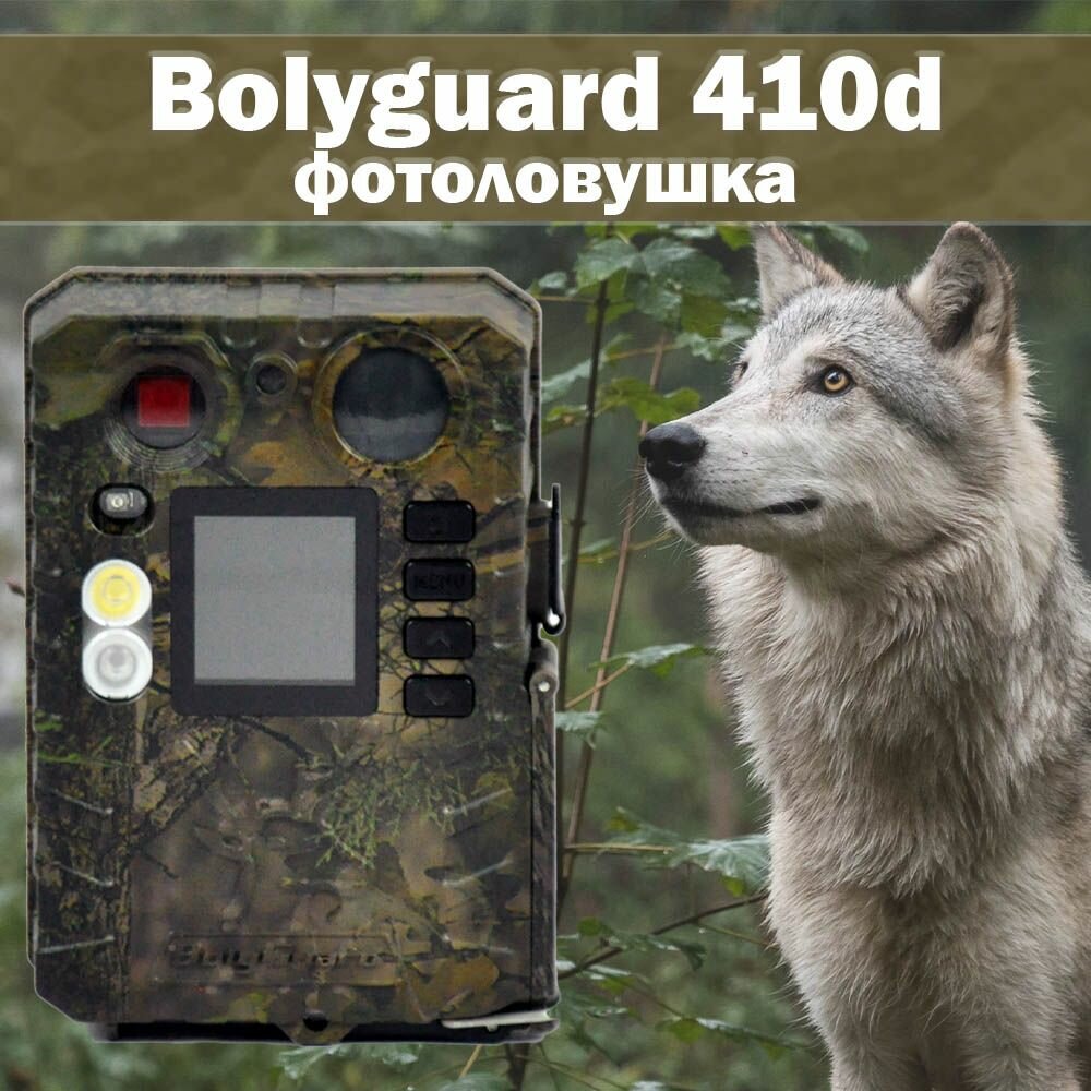 Фотоловушка "Bolyguard BG 410d" для охоты, охраны дома или дачи