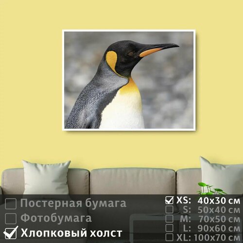 Постер на холсте Пингвин Смотрит Вдаль 40х30 см ПолиЦентр