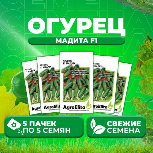 Огурец Мадита F1, 5шт, AgroElita, Seminis (5 уп)