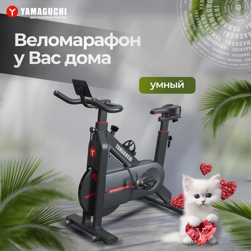 Кардио тренажер Waistrex