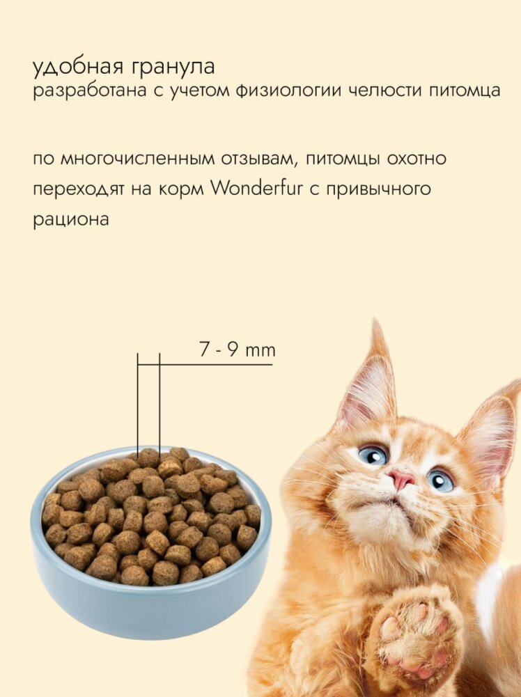 Сухой корм для стерилизованных кошек и кастрированных котов супер-премиум класса с телятиной и индейкой WONDERFUR, 2 кг — фото 1