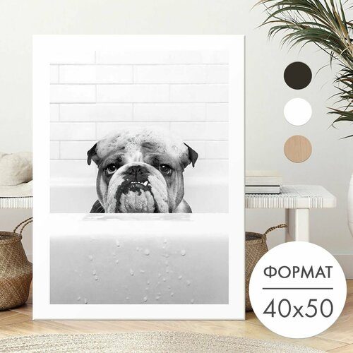 Постер 40х50 без рамки 