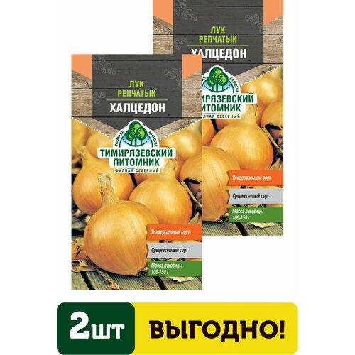 Семена лук Халцедон средний 0,5г 2 упаковки семена лук стареющий воздушное облако 3 упаковки 2 подарка